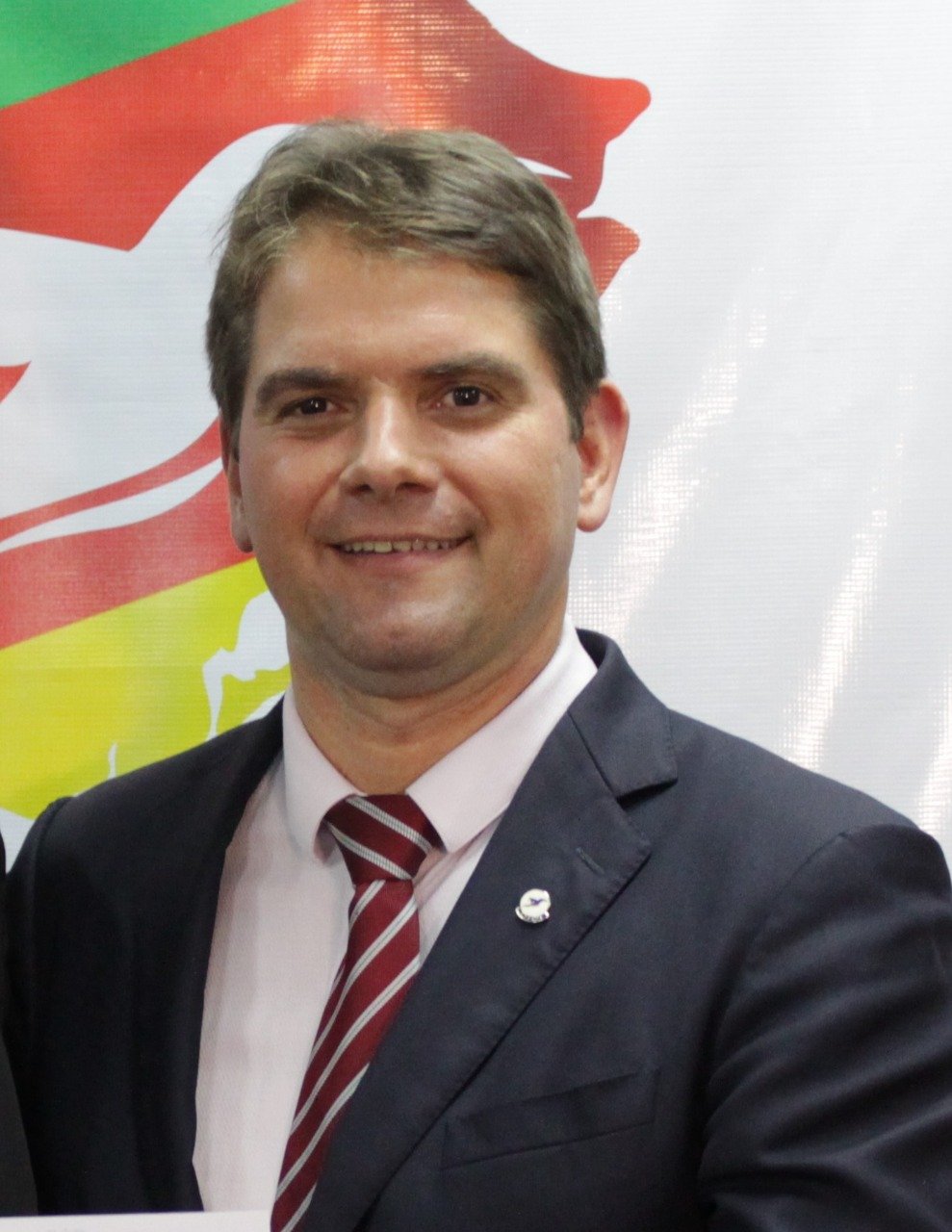 MARCIO FERREIRA BINS ELY